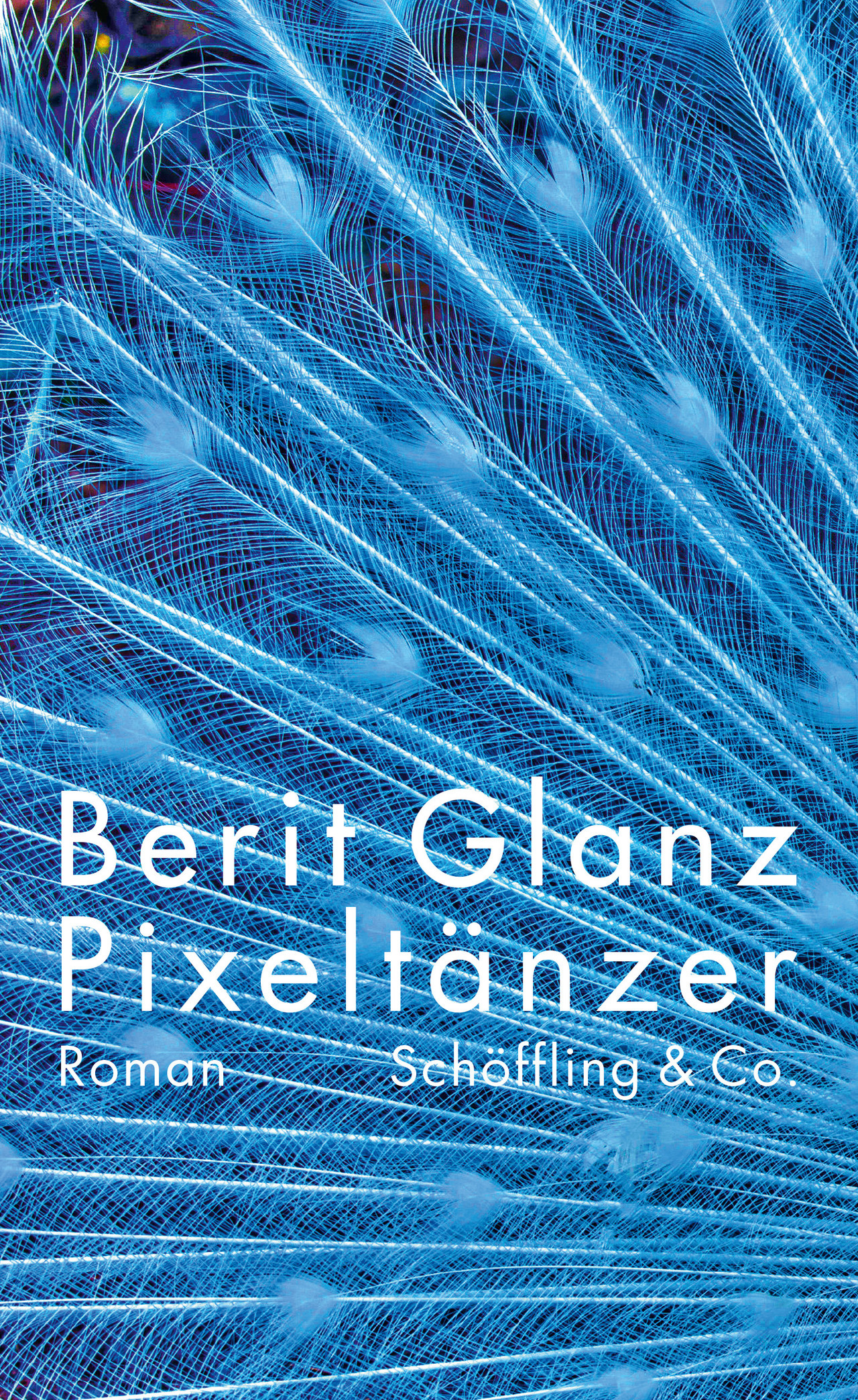Berit Glanz - Pixeltänzer